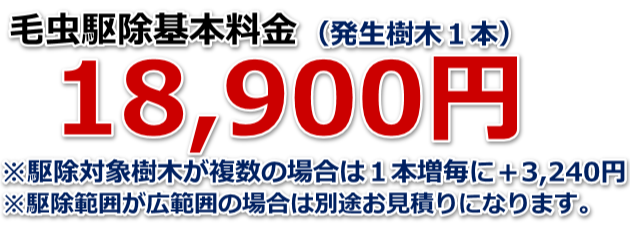 全国チャドクガ(幼虫)毛虫駆除料金